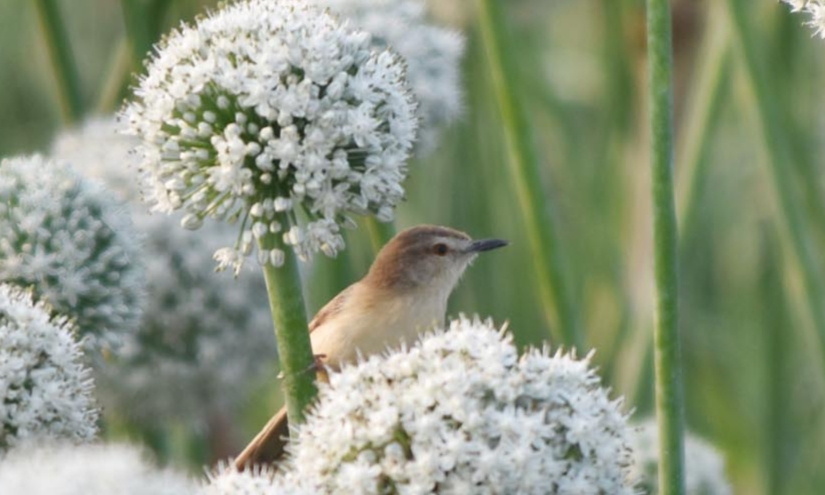 দিনের ছবি (২৬ ফেব্রুয়ারি, ২০২৬)