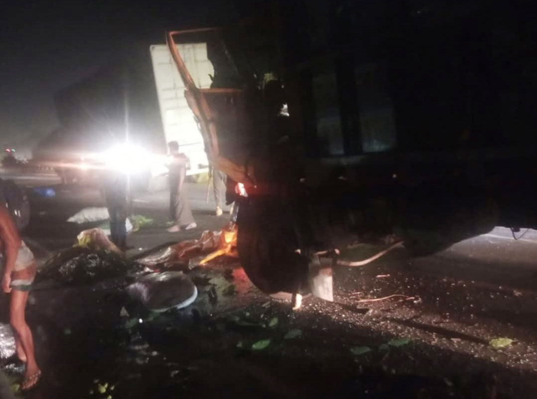 এক্সপ্রেসওয়েতে গরুবাহী ট্রাক দুর্ঘটনায় নিহত ১