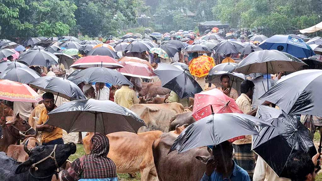 দুর্গাপুরে কোরবানির পশুর হাটে ক্রেতা নেই