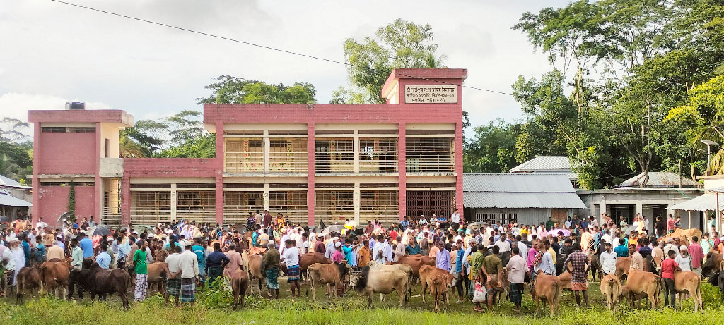 দশমিনায় স্কুলের মাঠ দখল করে কোরবানির পশুর হাট