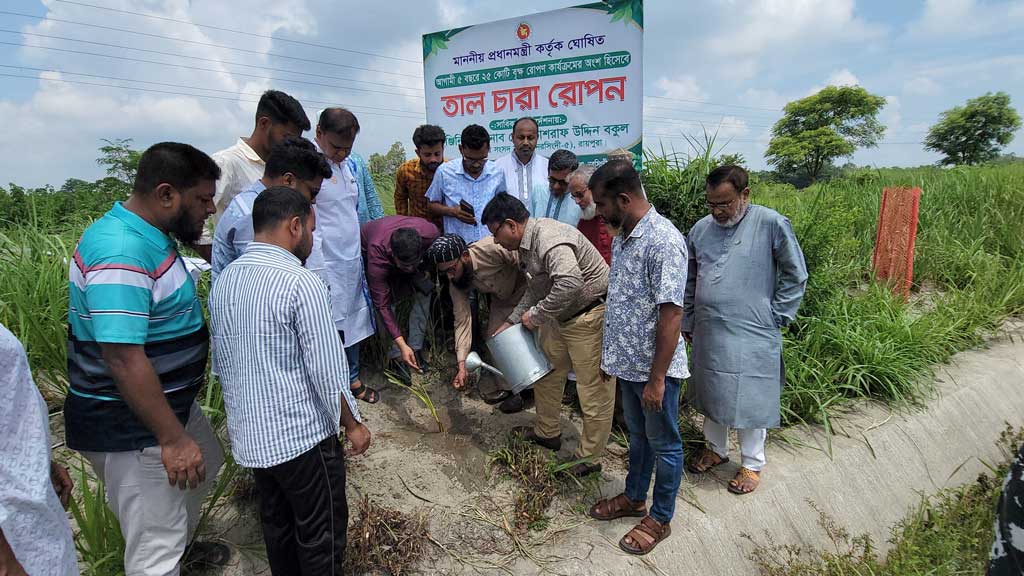 রায়পুরায় রেললাইনের পাশে তালগাছের চারা রোপণ