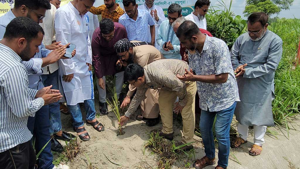 রায়পুরায় রেললাইনের পাশে তালগাছের চারা রোপণ