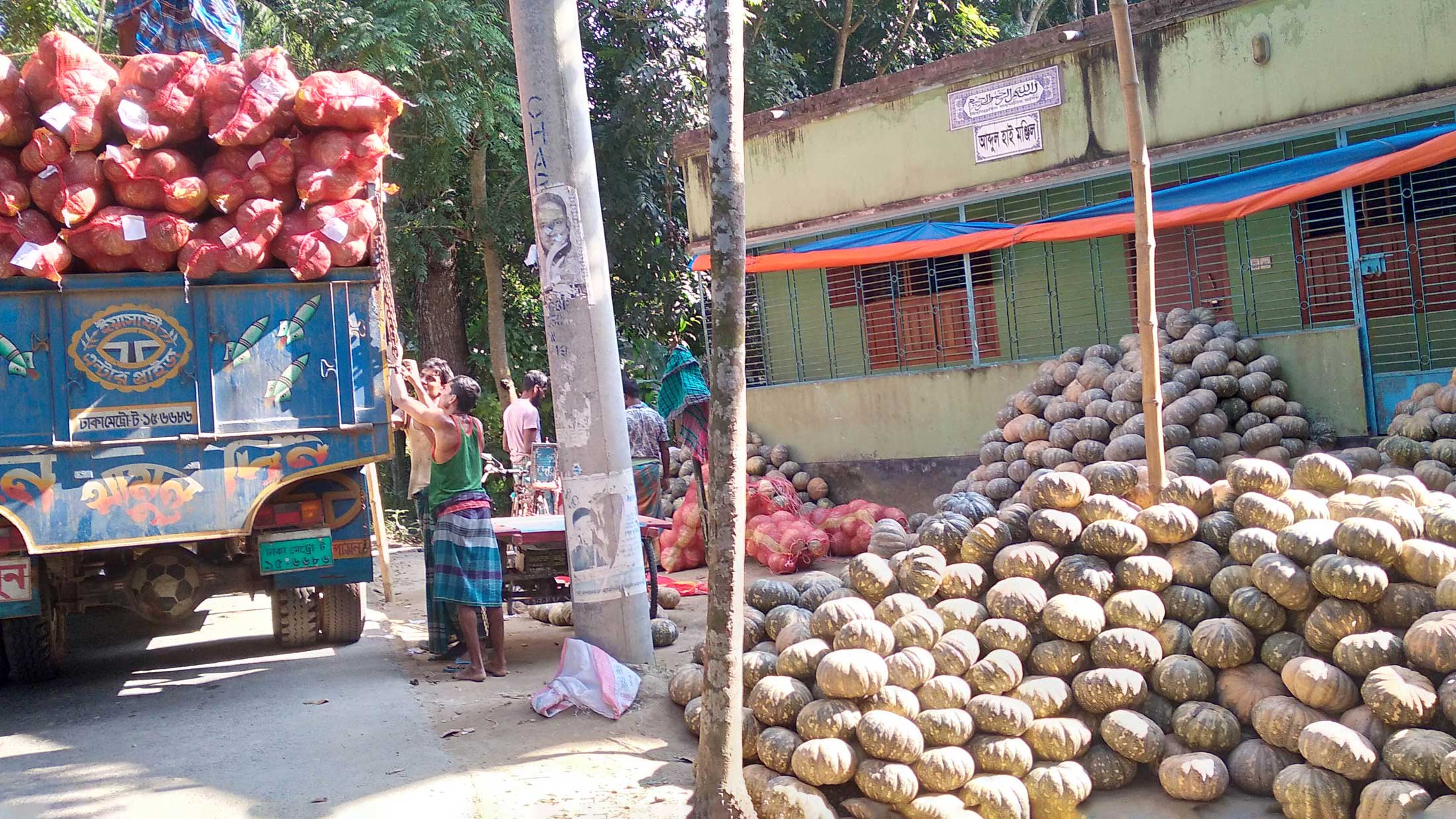 কুমড়ার ফলন-দামে খুশি কৃষক