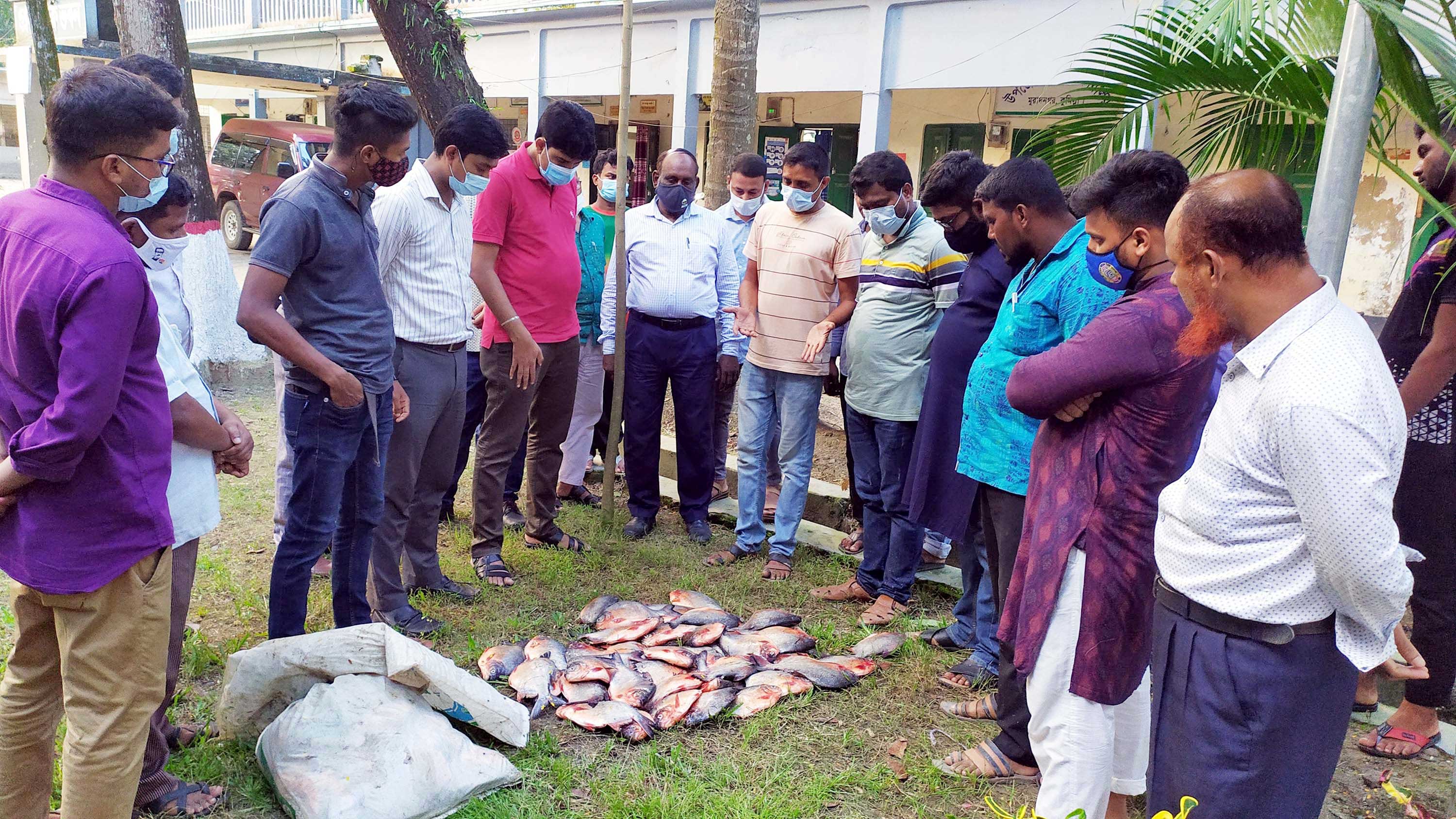 নিষিদ্ধ পিরানহা মাছ জব্দ