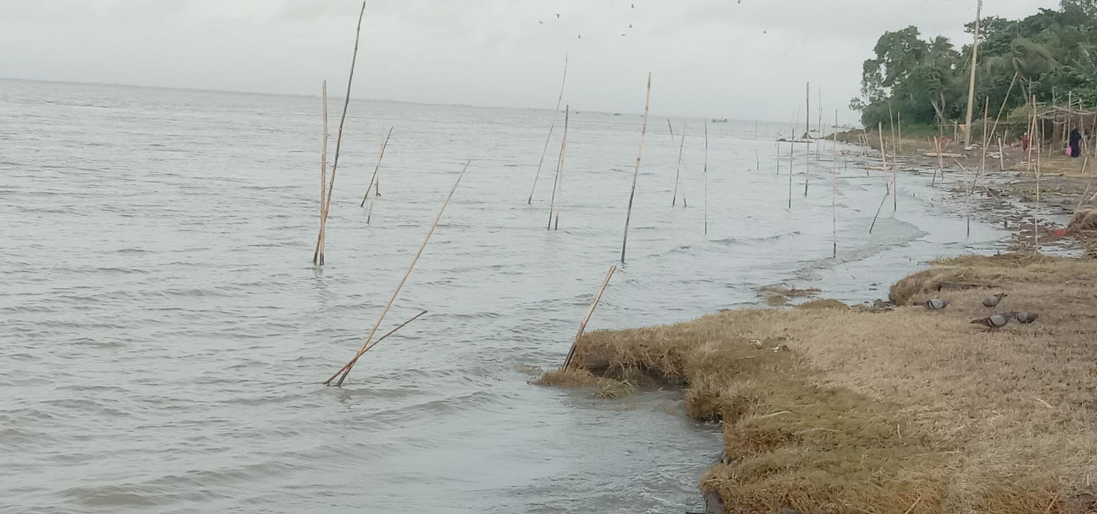 হুমকির মুখে হরিরামপুরে মৎস্য সম্পদ