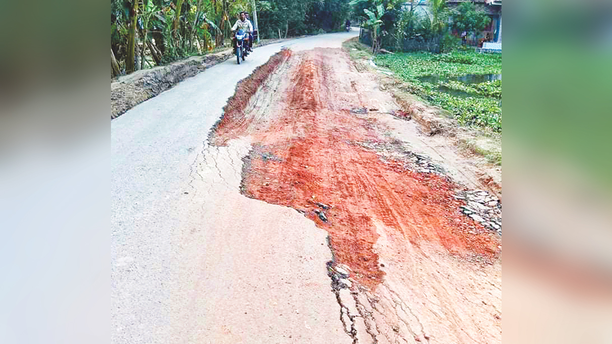 ৯ মাস ধরে বেহাল সড়ক