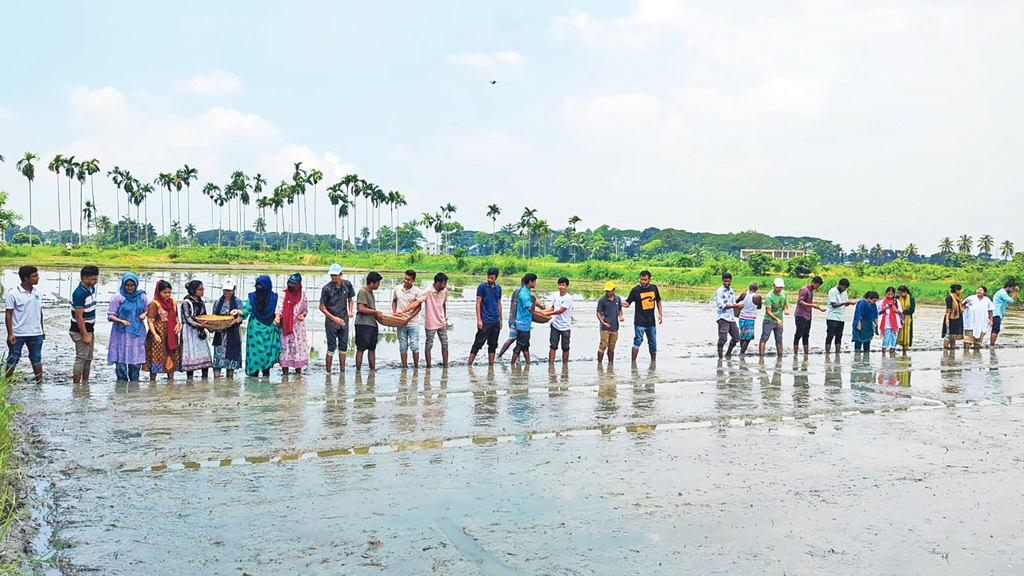 কৃষকদের পাশে অ্যাগ্রি স্টুডেন্ট অ্যালায়েন্স বিডি