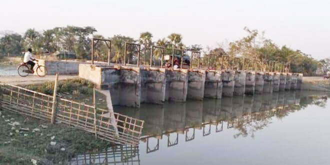 শালিখা স্লুইসগেট বন্ধ থাকায় বিপাকে মৎস্যচাষিরা, কোটি টাকা ক্ষতির আশঙ্কা