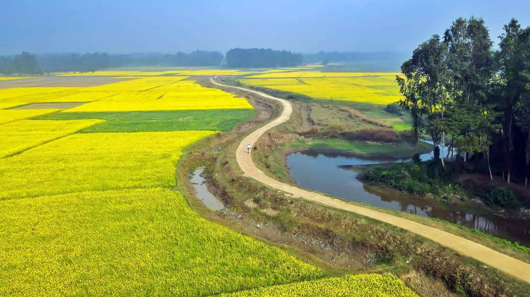 দিনের ছবি (২৫ ডিসেম্বর, ২০২২)