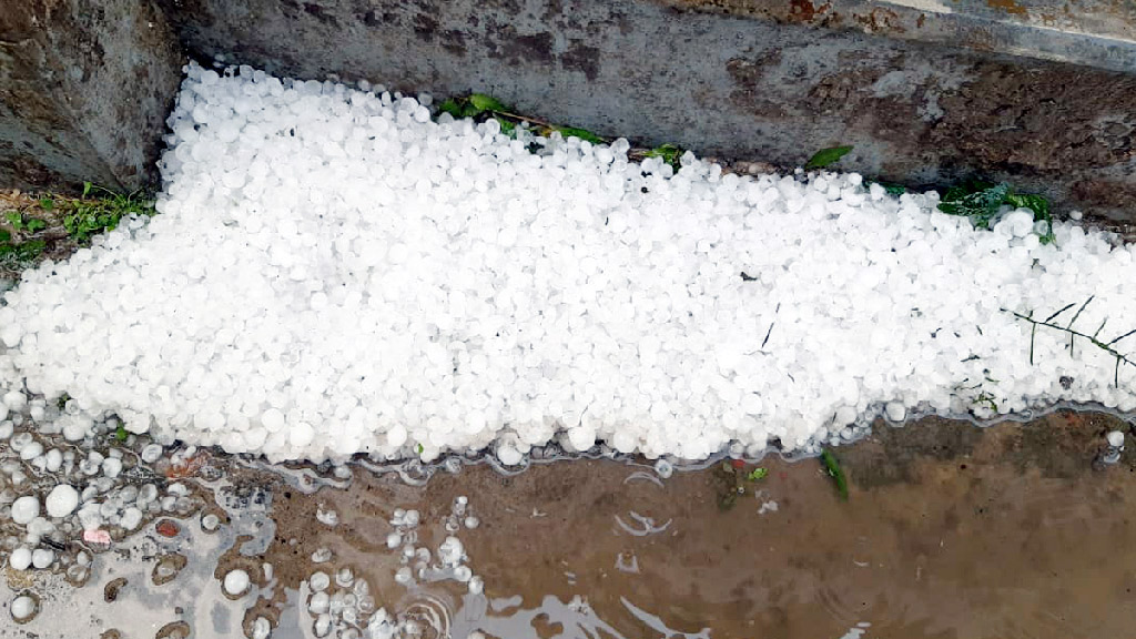 ঠাকুরগাঁওয়ে হঠাৎ শিলাবৃষ্টি, ফসলের ব্যাপক ক্ষতি