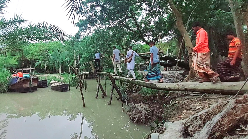 গাছের সাঁকোই ভরসা