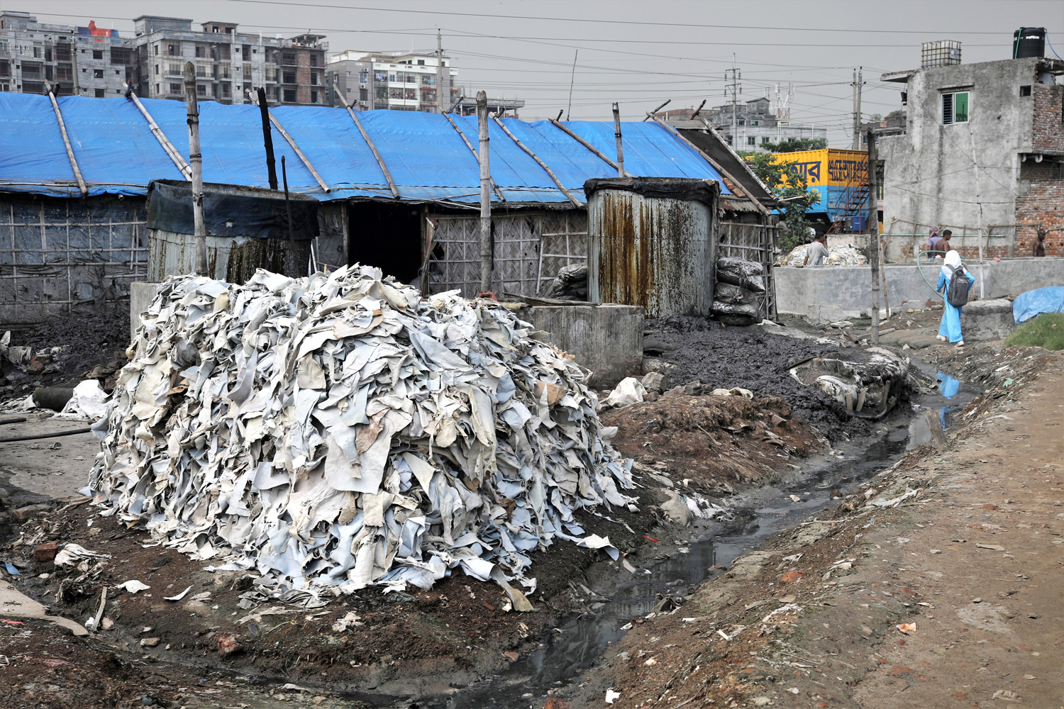 রাস্তার পাশেই ফেলে রাখা হয়েছে চামড়া। এতে ছড়াচ্ছে অসহনীয় দুর্গন্ধ। এরই পাশ দিয়ে স্কুলের জন্য হেঁটে যাচ্ছে এক শিক্ষার্থী।
