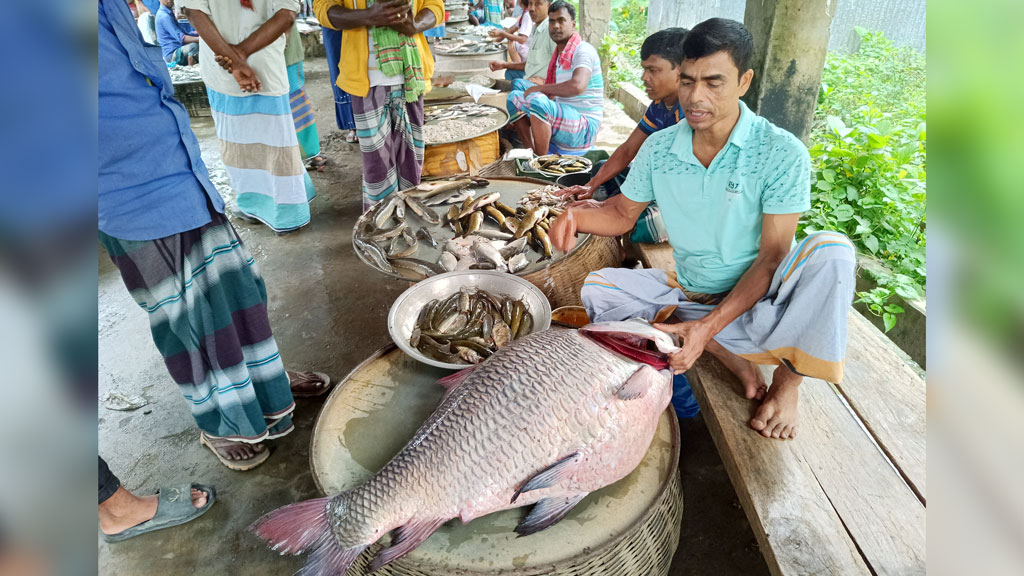 পদ্মায় ধরা পড়ল ৩২ কেজির কাতল