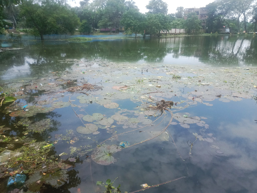 শাল্লায় বন্যার পানিতে ভেসে গেছে ৬০০ পুকুর