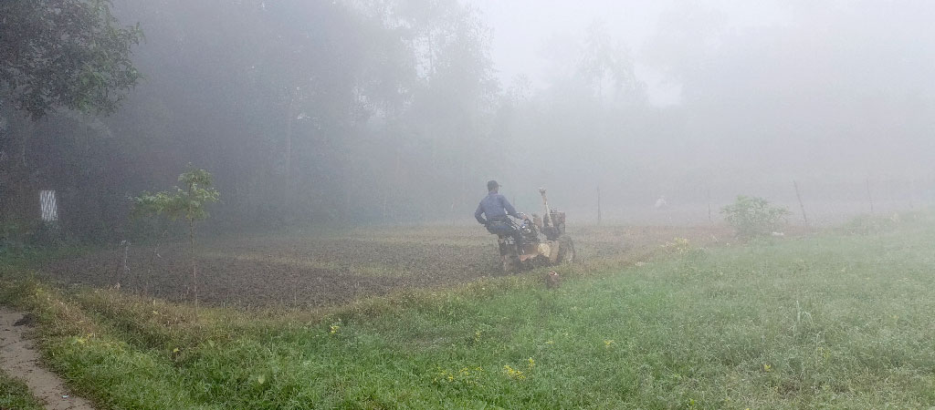 সাত সকালে কুয়াশা শীতের আগমনী বার্তা দিচ্ছে। এই কুয়াশার মধ্যেই আগাম শীতকালীন সবজি চাষের জন্য পাওয়ার টিলার দিয়ে জমি প্রস্তুত করছেন কৃষক। রায়পুরার পূর্বহরিপুর গ্রাম থেকে তোলা, নরসিংদী, ২১ অক্টোবর ২০২৪ । ছবি: হারুনূর রশিদ