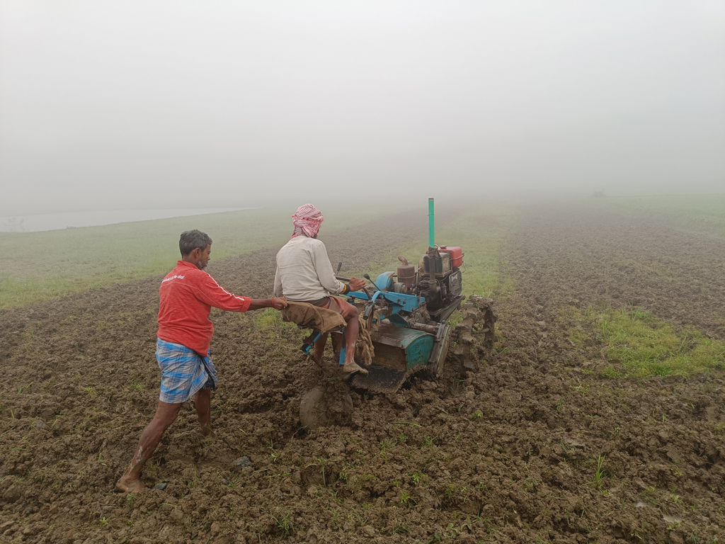 দিনের ছবি (১৩ ডিসেম্বর, ২০২৩)