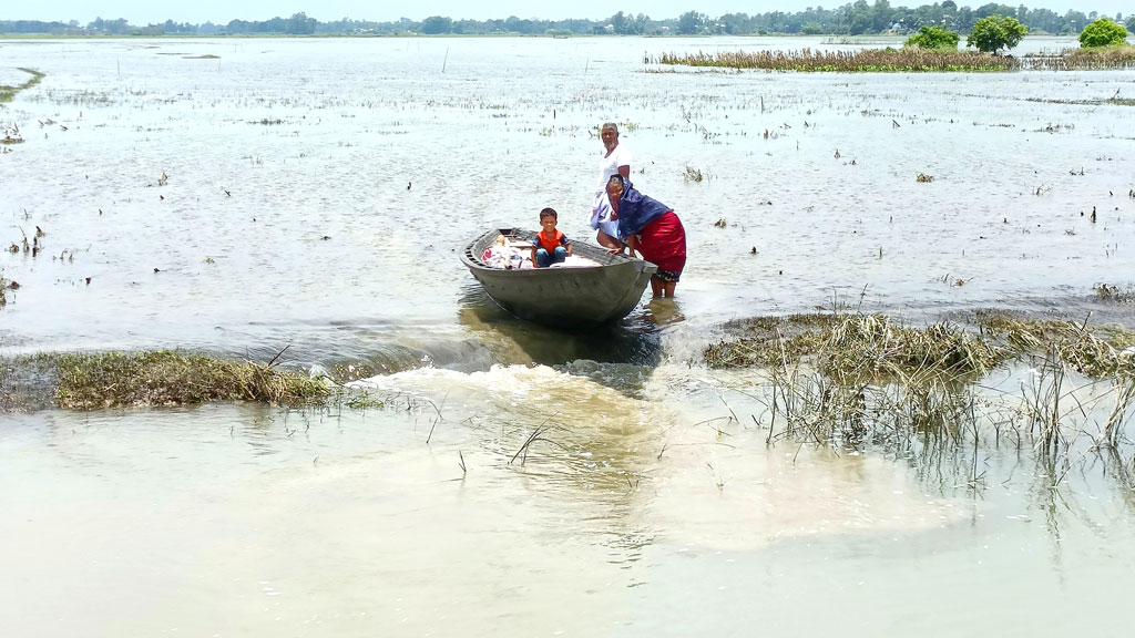 নৌকা নিয়ে সন্তানসহ এক দম্পতি যাচ্ছেন আত্মীয়ের বাড়িতে বেড়াতে। বিলের মোহনার সংযোগস্থলে পানি কম থাকায় নৌকা আটকে গেছে। নৌকা টেনে বিলের বেশি পানিতে নামাতে হচ্ছে এই দম্পতিকে। ঘিওর উপজেলার সিংজুরী ইউনিয়নের নাটুয়া বিল, মানিকগঞ্জ, ২৯ আগস্ট। ছবি: আব্দুর রাজ্জাক