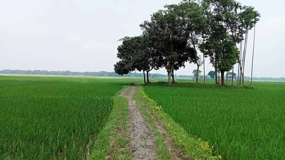 একটি রাস্তা এবং পাঁচ গ্রামের মানুষের দুর্ভোগ