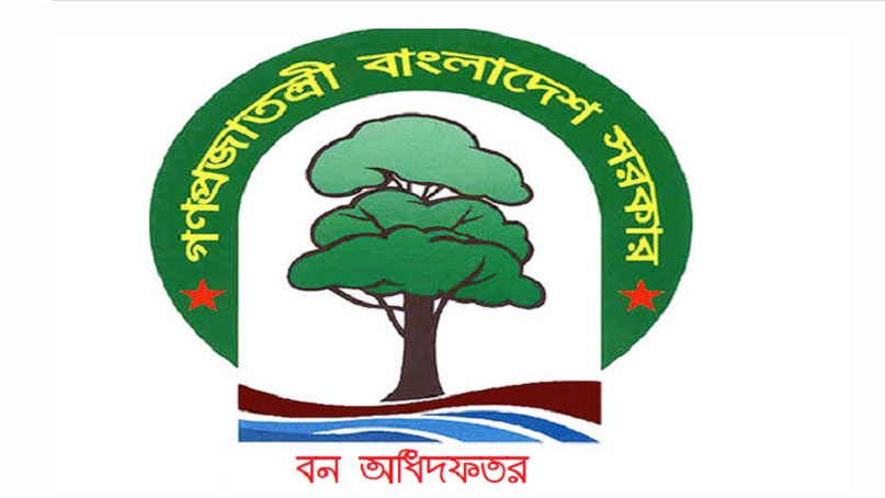 বন অধিদপ্তরে ৩২ পদে চাকরি