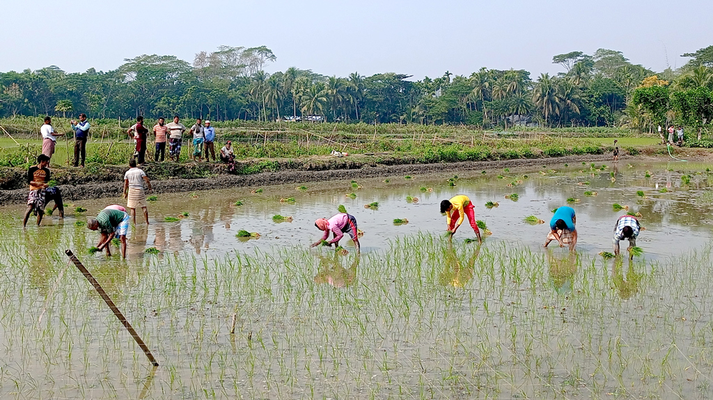 চিতলমারীতে ঘের দখলের অভিযোগ