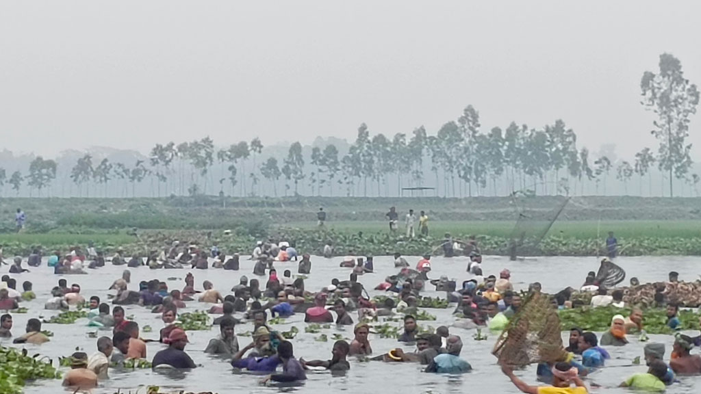 খলিলাবাদ বিলে পলো বাওয়া উৎসবে মাছ ধরায় ব্যস্ত মৎস্য শিকারিরা। রায়পুরা উপজেলার পলাশতলী ইউনিয়নের খলিলাবাদ গ্রাম, নরসিংদী, ৪ মার্চ ২০২৪। ছবি: হারুনুর রশিদ
