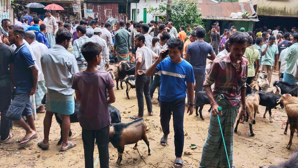 মনসা পূজা ঘিরে কাপ্তাইয়ে কদর বেড়েছে পাহাড়ি ছাগলের