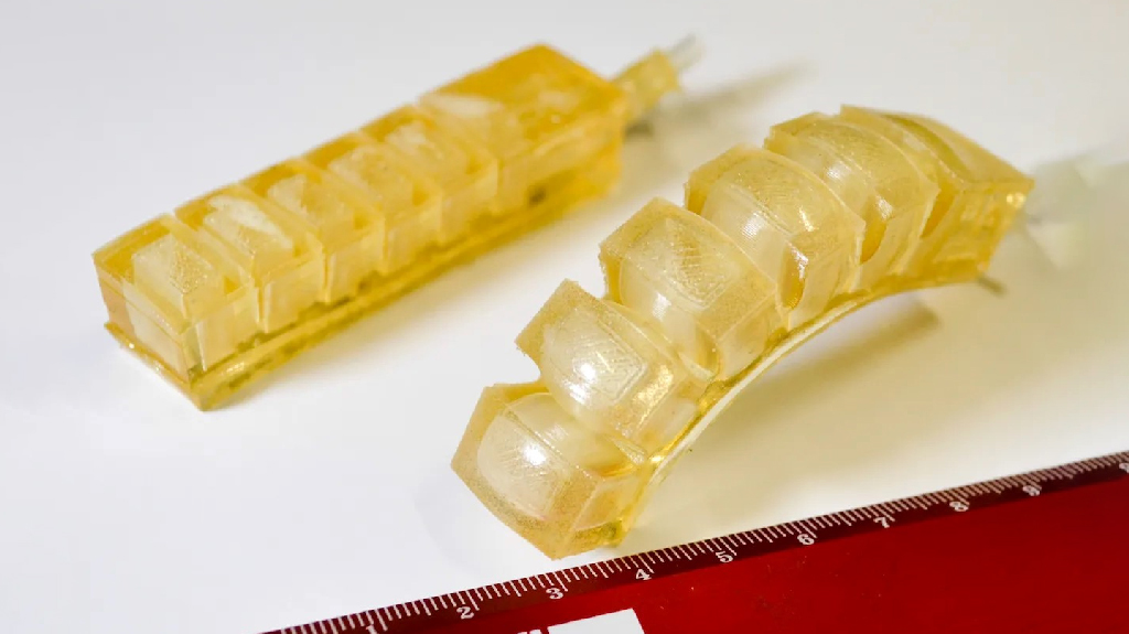 খাওয়া যায় যে রোবট, পাওয়া যাচ্ছে বিভিন্ন স্বাদেরও