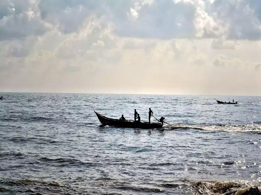 বঙ্গোপসাগরে সংরক্ষিত এলাকা বাড়িয়ে ৬ গুণ করার প্রস্তাব