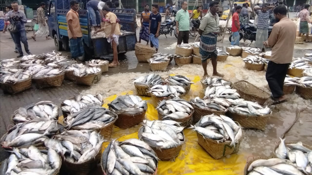 ঘাটে ফিরছে ইলিশভর্তি ট্রলার