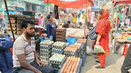ডিমের দাম বাড়ে, লাভ যায় কার পকেটে