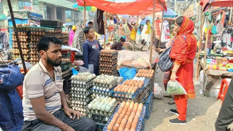ডিমের দাম বাড়ে, লাভ যায় কার পকেটে