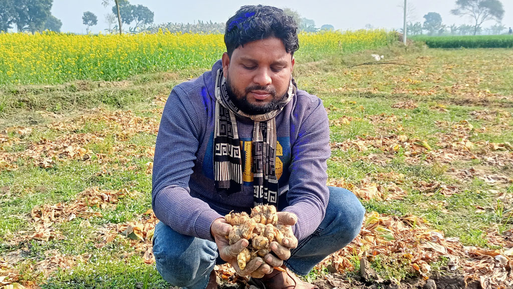 গাংনীতে একানী চাষে লাভের আশা করছেন ব্যাংক কর্মকর্তা ইসতিয়াক