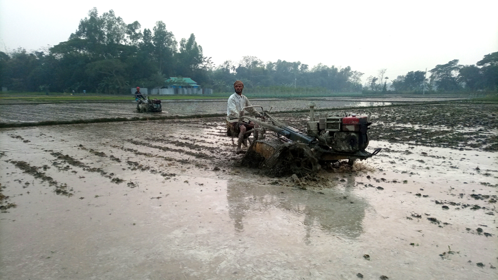 বোরোর উৎপাদন লক্ষ্যমাত্রা ছাড়িয়ে যাওয়ার প্রত্যাশা