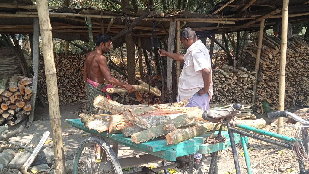 মাগুরায় বেড়েছে লাকড়ির দামও, বিপাকে নিম্নবিত্তরা