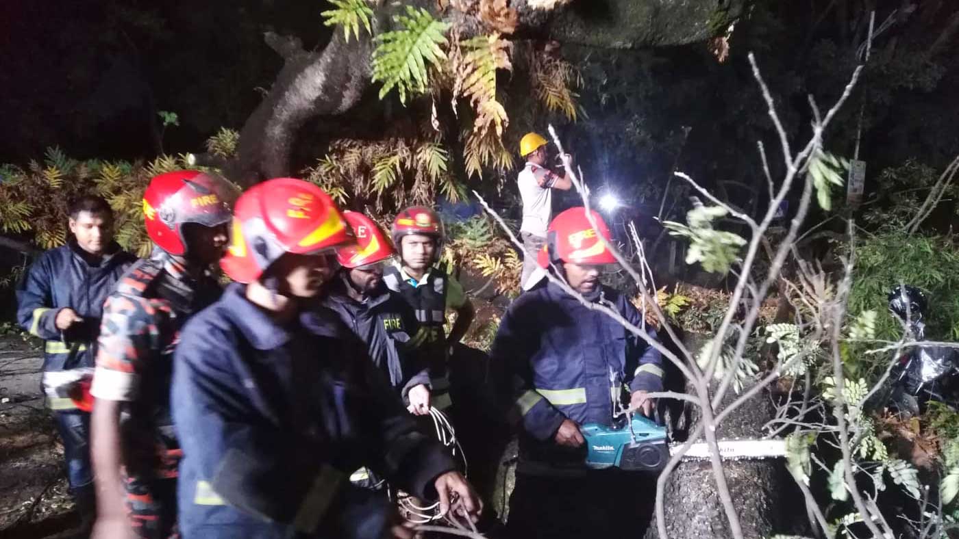 ডিএসসিসির সামনের রাস্তা ওপর ভেঙে পড়েছে গাছ 