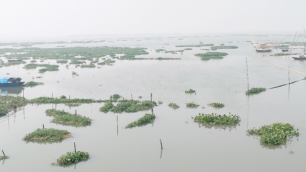 বিলের মুখে বাঁধ, বোরো চাষাবাদ নিয়ে শঙ্কা