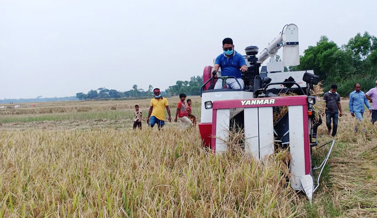 'আমি স্বপ্নেও ভাবি নাই এমপি সাব আমার ধান কাইট্টা দিবো'