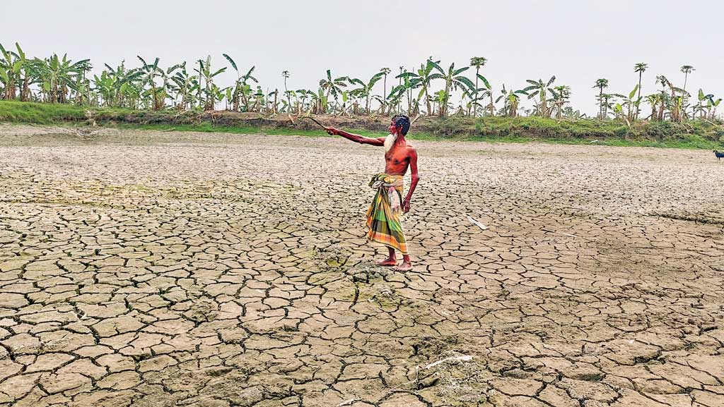 রাজশাহীর দুর্গাপুরে চাষির গলার কাঁটা ধানি জমিতে পুকুর