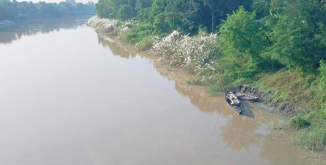 হেমন্ত এলেই শান্ত হয়ে যায় নদী। সেই সঙ্গে প্রকৃতিও সেজে ওঠে আপন সৌন্দর্যে। শান্ত, স্নিগ্ধ কালীগঙ্গা নদী ও তীরে ফোঁটা কাশফুলও যেন এরই ইঙ্গিত দিচ্ছে। নদীর কিনারে বাঁধা নৌকাগুলো সেই সৌন্দর্যে যোগ করেছে আলাদা মাত্রা। ঘিওর উপজেলার নকীববাড়ি এলাকা নদী, মানিকগঞ্জ, ১৭ অক্টোবর ২০২৩। ছবি: আব্দুর রাজ্জাক