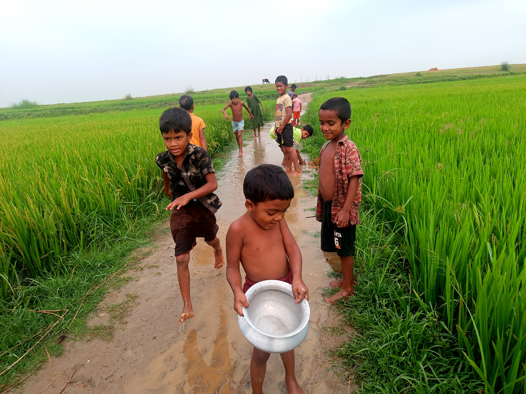 গতকাল শুক্রবার রাত থেকে আজ শনিবার সকাল পর্যন্ত টানা বৃষ্টি হওয়ায় ফসলি জমির আইল উপচে বৃষ্টির পানি নামছে নিচু জমিতে। এই বৃষ্টির পানিতে দল বেঁধে মাছ ধরছে শিশুরা। সরাইল উপজেলার অরুয়াইল ইউনিয়নের কাঁটাখালি বিল, ব্রাহ্মণবাড়িয়া, ৩০ মার্চ ২০২৪। ছবি: মো. মনসুর আলী