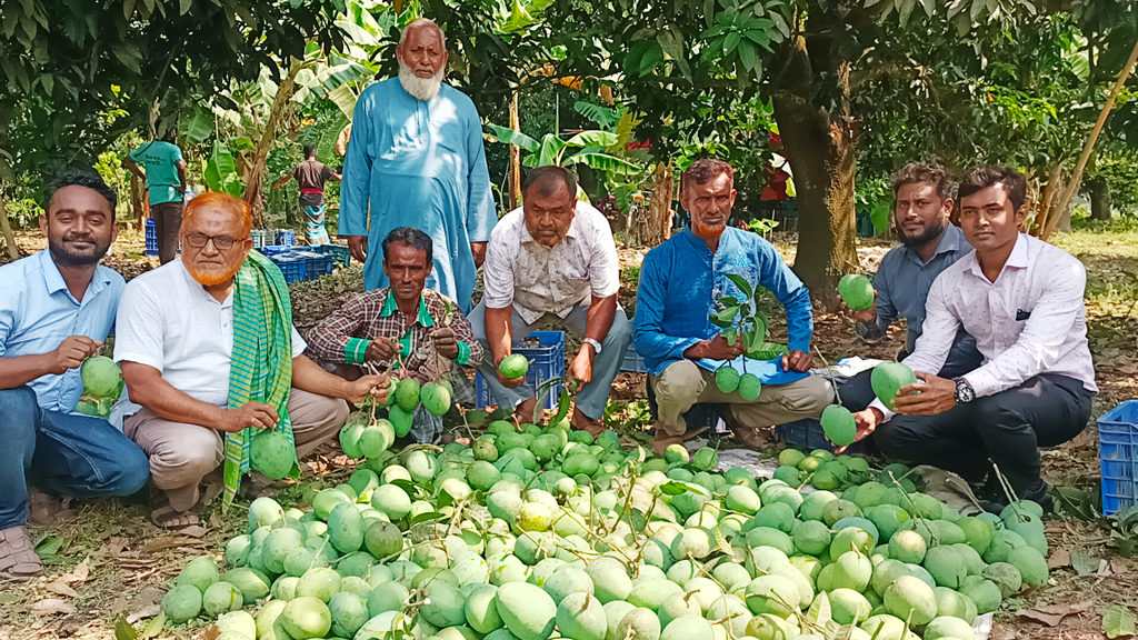 ঝিনাইদহের গোবিন্দভোগ যাচ্ছে ইংল্যান্ডে