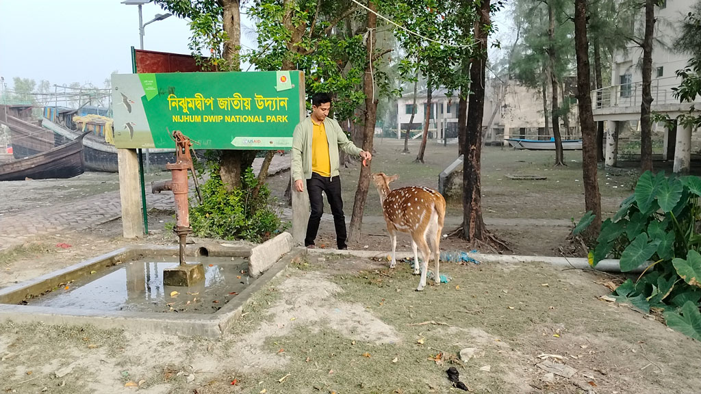 নিঝুম দ্বীপে ‘বিজলীতে’ মুগ্ধ পর্যটক