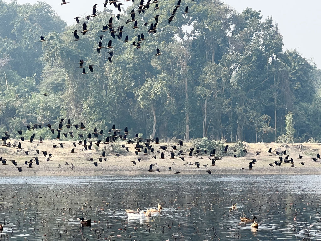 দিনের ছবি (১৮ জানুয়ারি, ২০২৩)