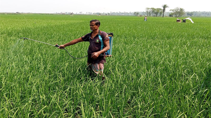 তালায় কৃষিপণ্যের দাম বাড়ায় বিপাকে চাষিরা