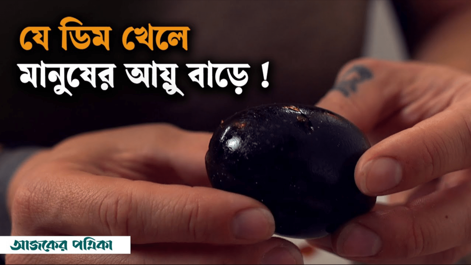 কালো ডিমের খোঁজে অওয়াকুদানি উপত্যকায়