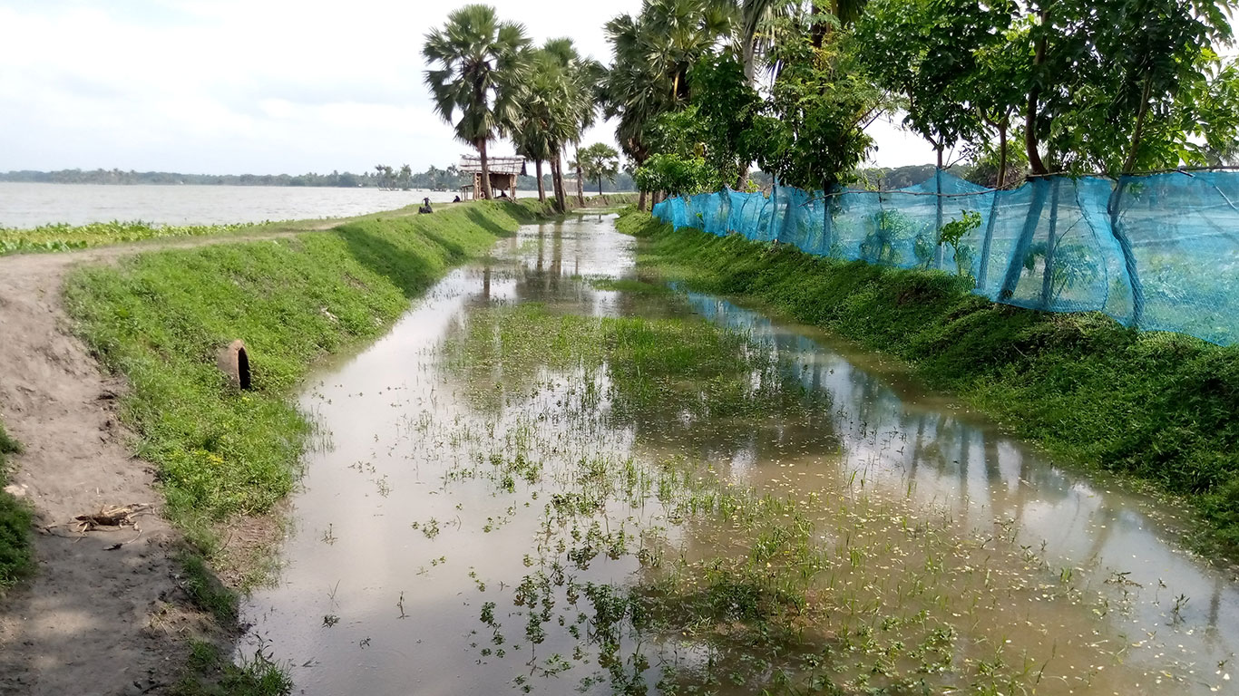 দেখতে খাল মনে হলেও আসলে এটি রাস্তা