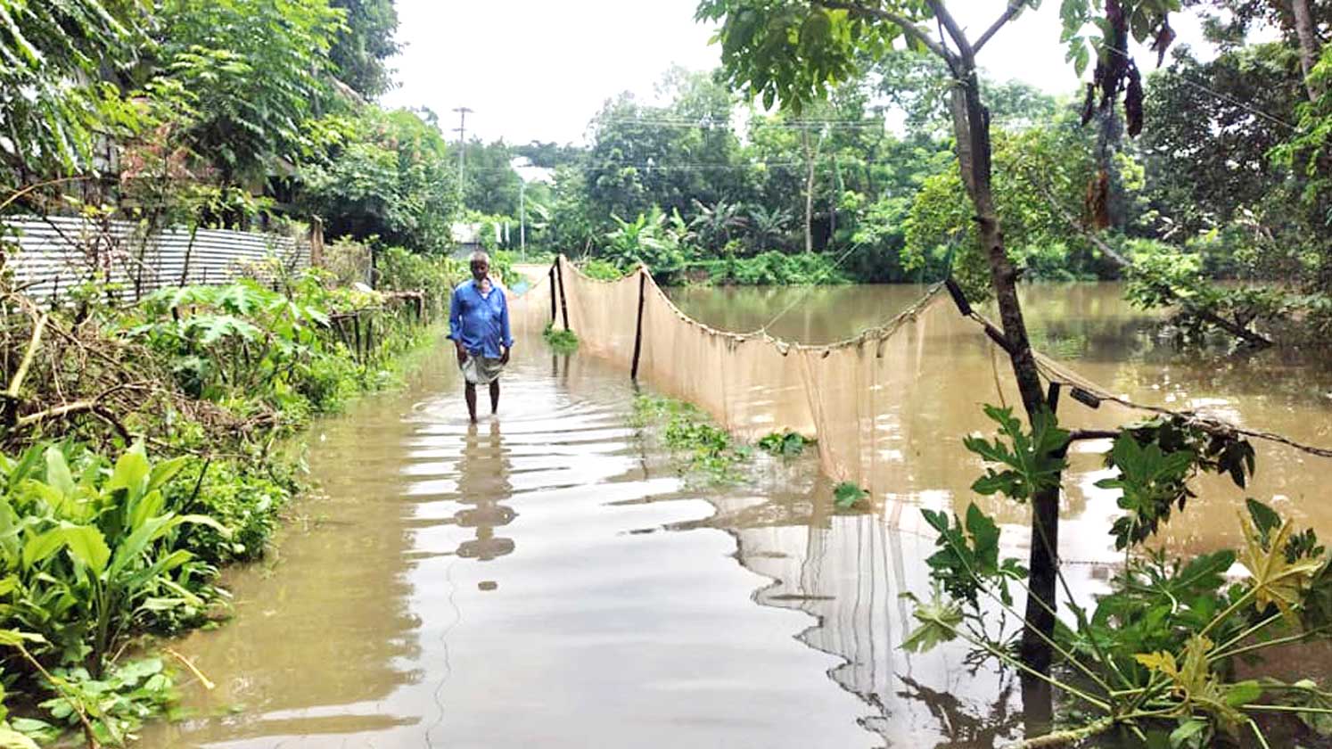 মতলব উত্তরে টানা বৃষ্টিতে ভেসে গেছে ১০ কোটি টাকার মাছ