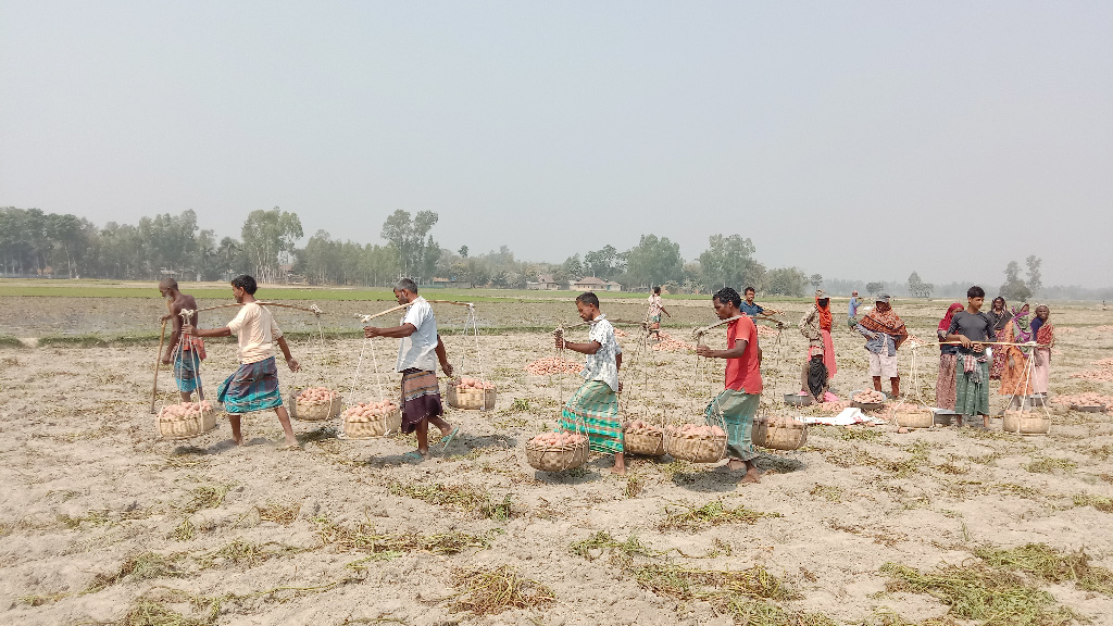 দিনের ছবি (০২ মার্চ, ২০২৩)