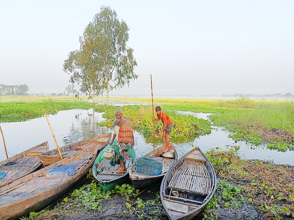 রাতে পেতে রাখা চাঁই, জাল, রাবানীসহ বিভিন্ন পদ্ধতিতে মাছ শিকার চলে। ভোর হতেই সেই মাছ সংগ্রহ করে বিক্রির উদ্দেশ্যে বাজারে নিয়ে যাচ্ছেন দুজন মাছ শিকারি। বালিয়াখোড়া, ঘিওর, মানিকগঞ্জ, ১৫ অক্টোবর ২০২৩। ছবি: আব্দুর রাজ্জাক