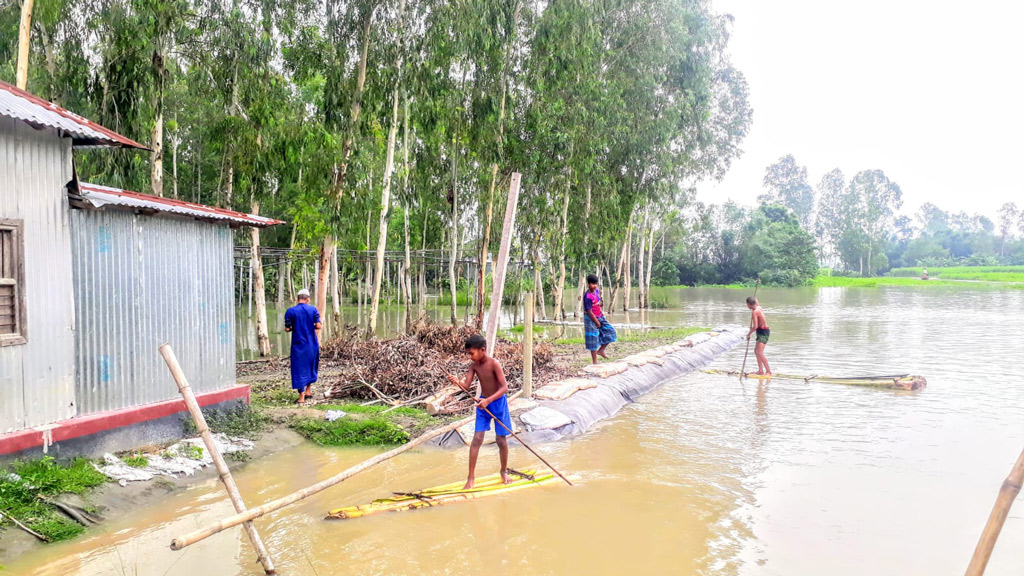 টাঙ্গাইলে পানির নিচে ৮ হাজার ৭৬৪ হেক্টর ফসলি জমি